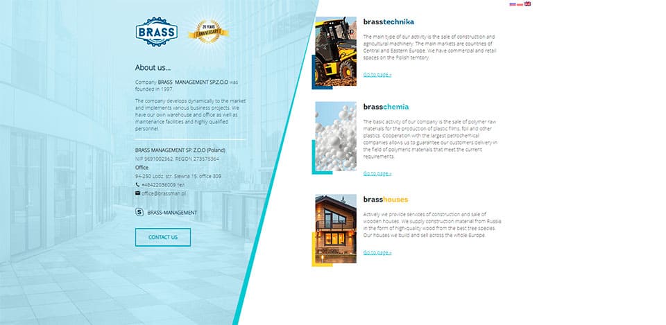 Website development by Brassman